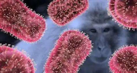 天博比新冠更恐怖的猴痘在内地出现！这跟美国有关系吗？(图1)