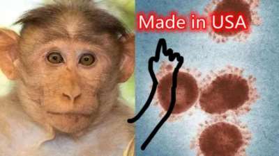 天博“巧合”之下的美利坚病毒：猴痘(图1)
