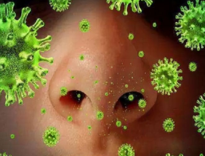 天博美国意外发现天花病毒会对人类造成危害吗？天花有多厉害？(图11)