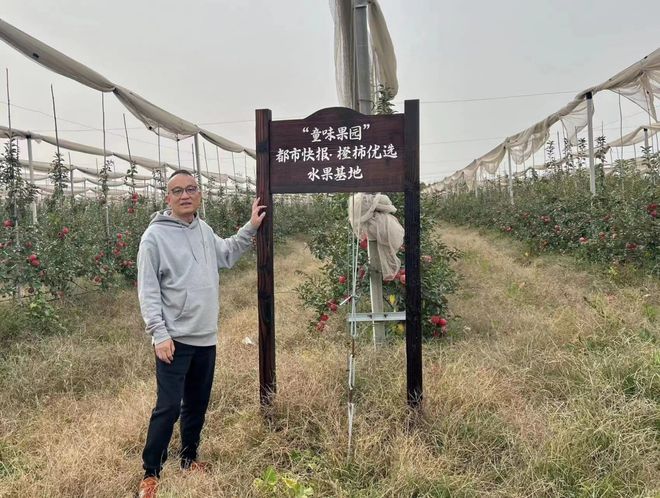 天博只有249箱！“天花板级”维纳斯黄金苹果吃完这一波实在没货了(图9)