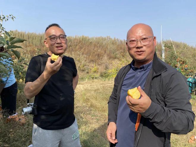 天博只有249箱！“天花板级”维纳斯黄金苹果吃完这一波实在没货了(图10)