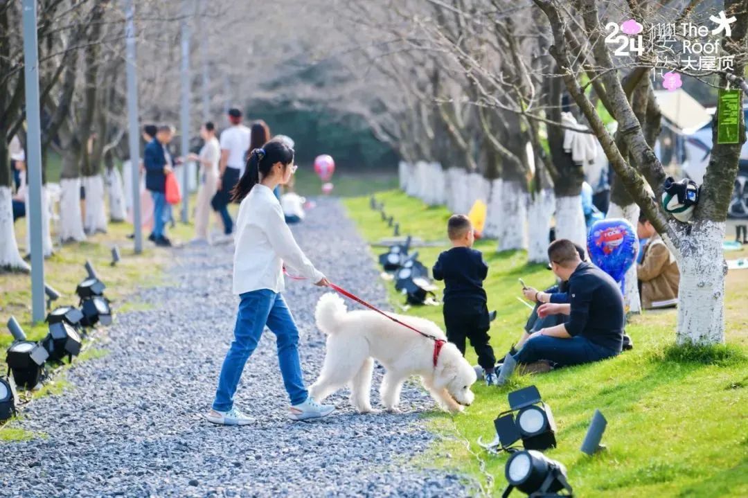 天博公园20分钟效应杭州突然流行 地方都找好了(图7)